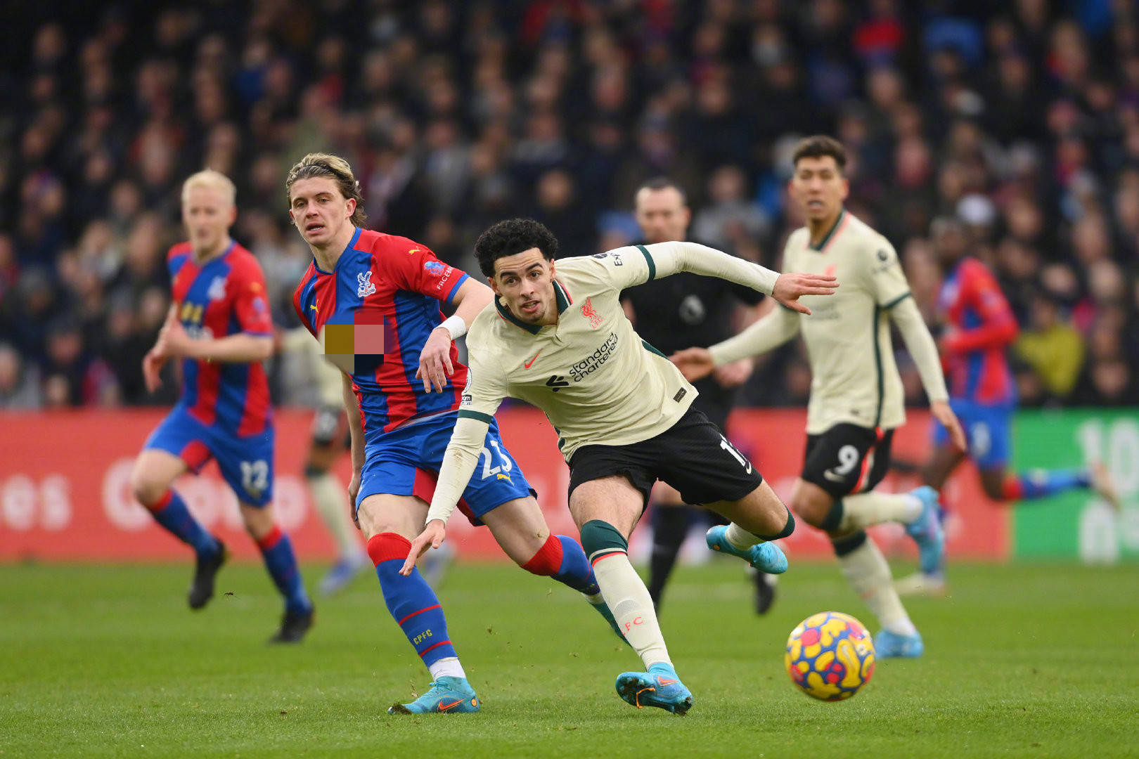 了广泛的讨 了广泛的讨